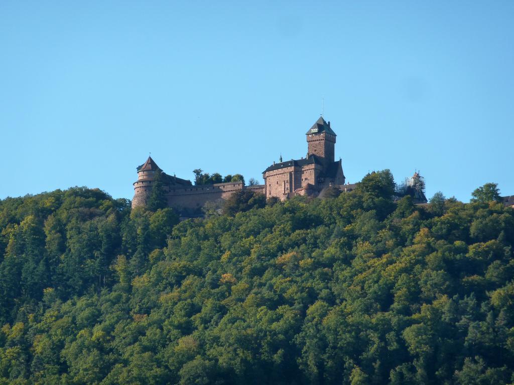 Schlitteur Et Sapiniere Breitenbach