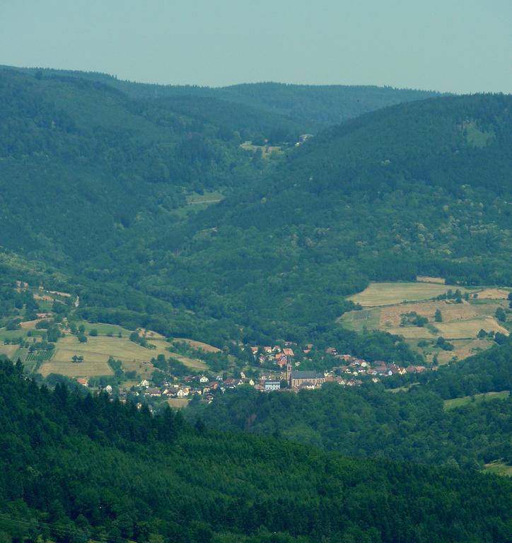 Schlitteur Et Sapiniere Holiday home Breitenbach