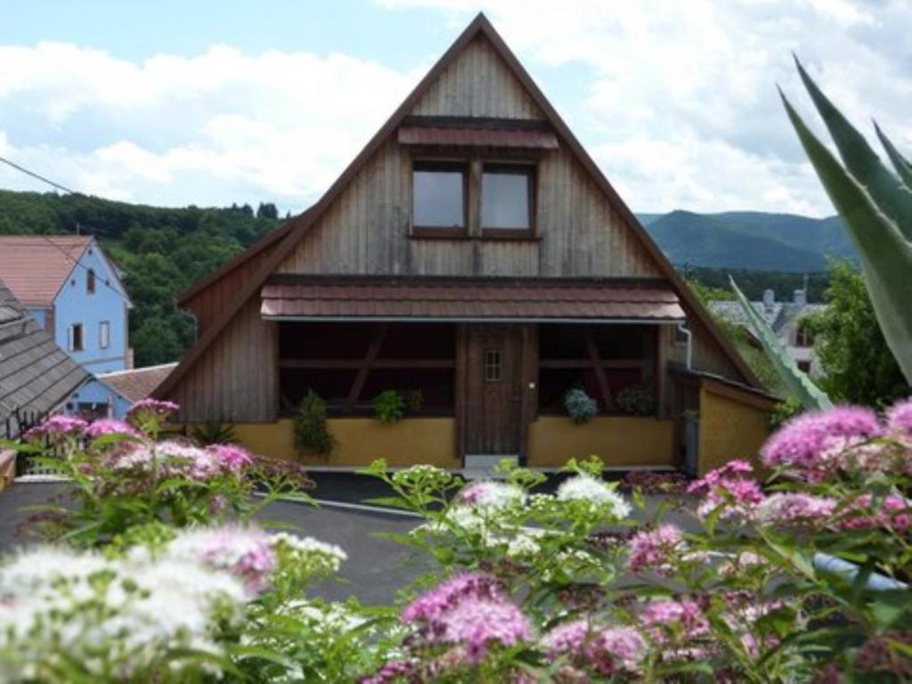 Schlitteur Et Sapiniere Holiday home