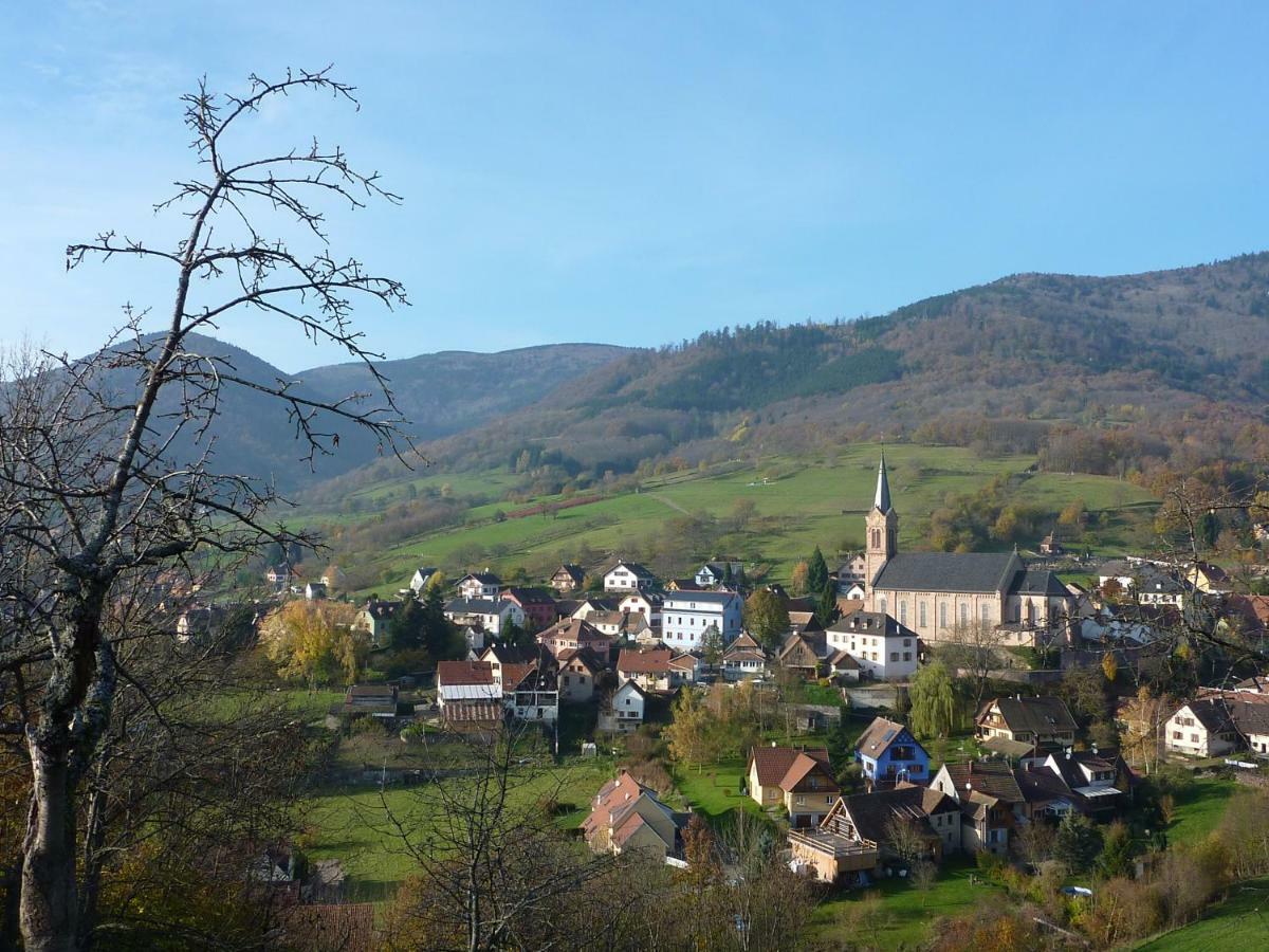 Holiday home Schlitteur Et Sapiniere Breitenbach