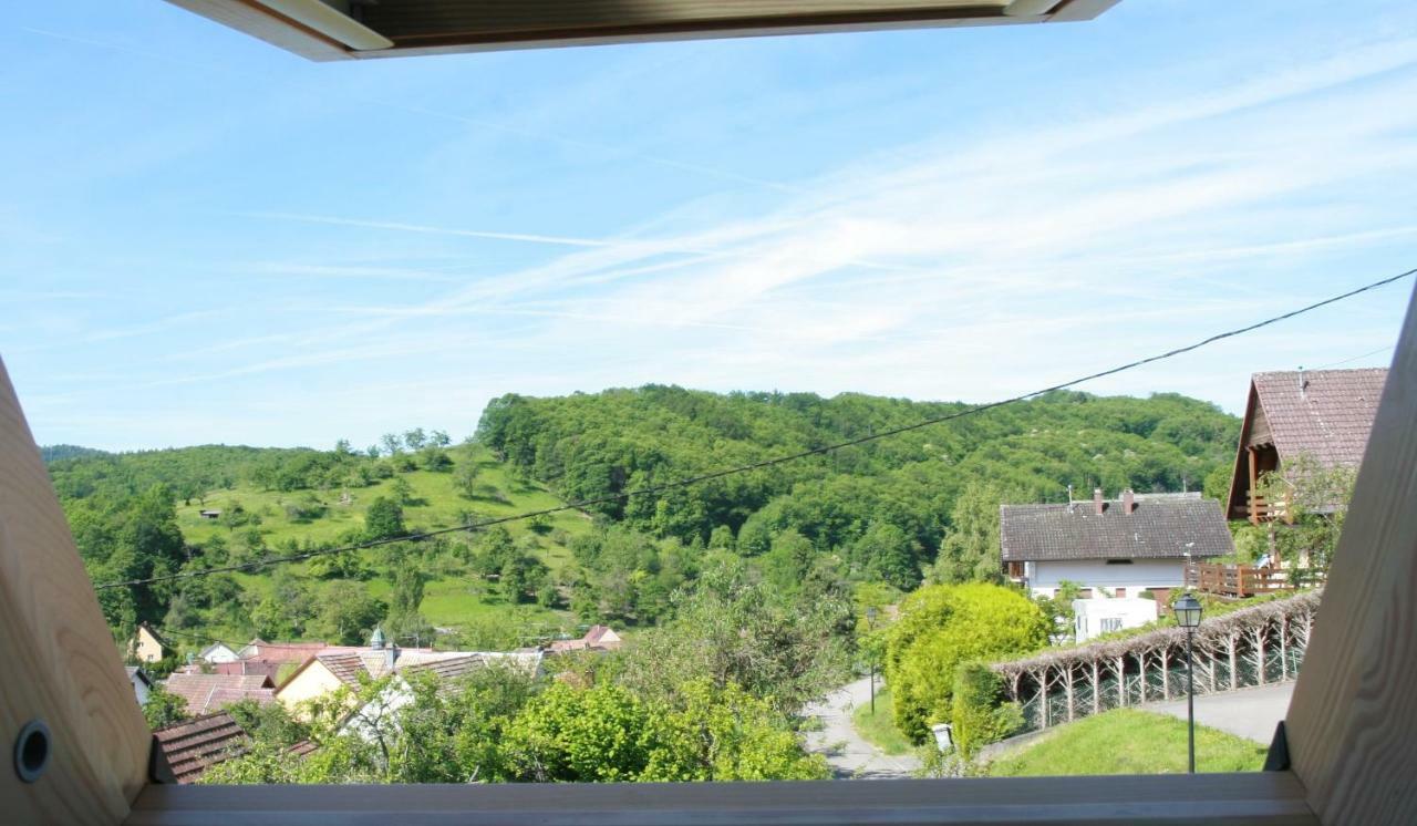 Schlitteur Et Sapiniere Ferienhaus *